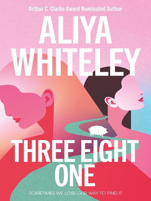 Cover image for Three Eight One